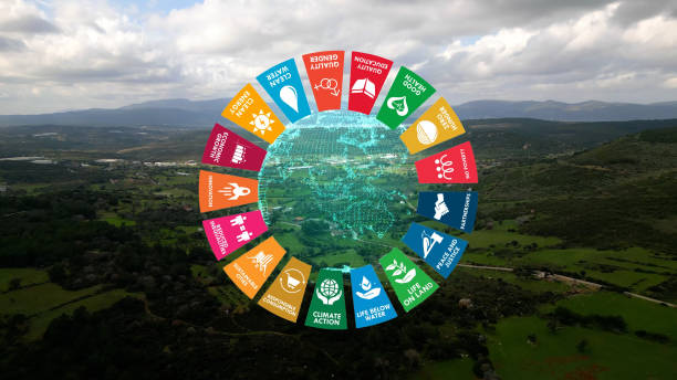 United Nations SDG